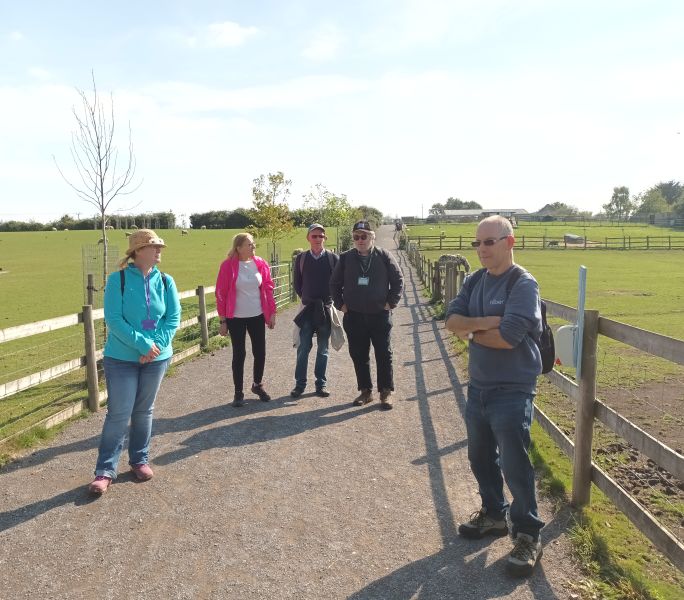 A group of carers out on a walk together